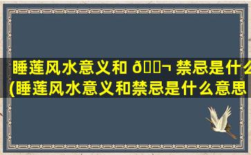 睡莲风水意义和 🐬 禁忌是什么(睡莲风水意义和禁忌是什么意思)